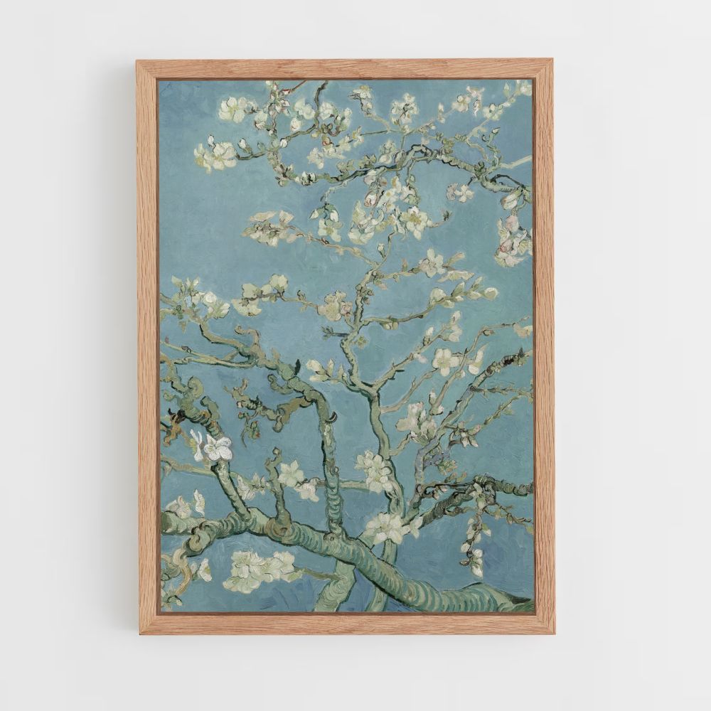 Almond Tree in Bloom Poster