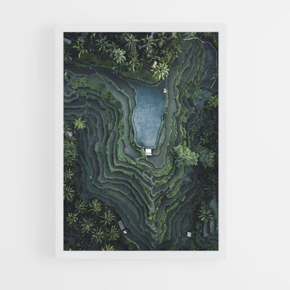 Rice Field Poster