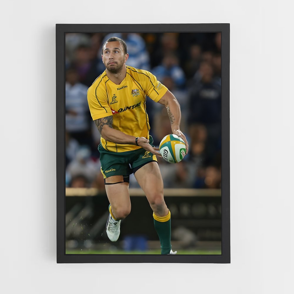 wallabies-7 cadre Noir