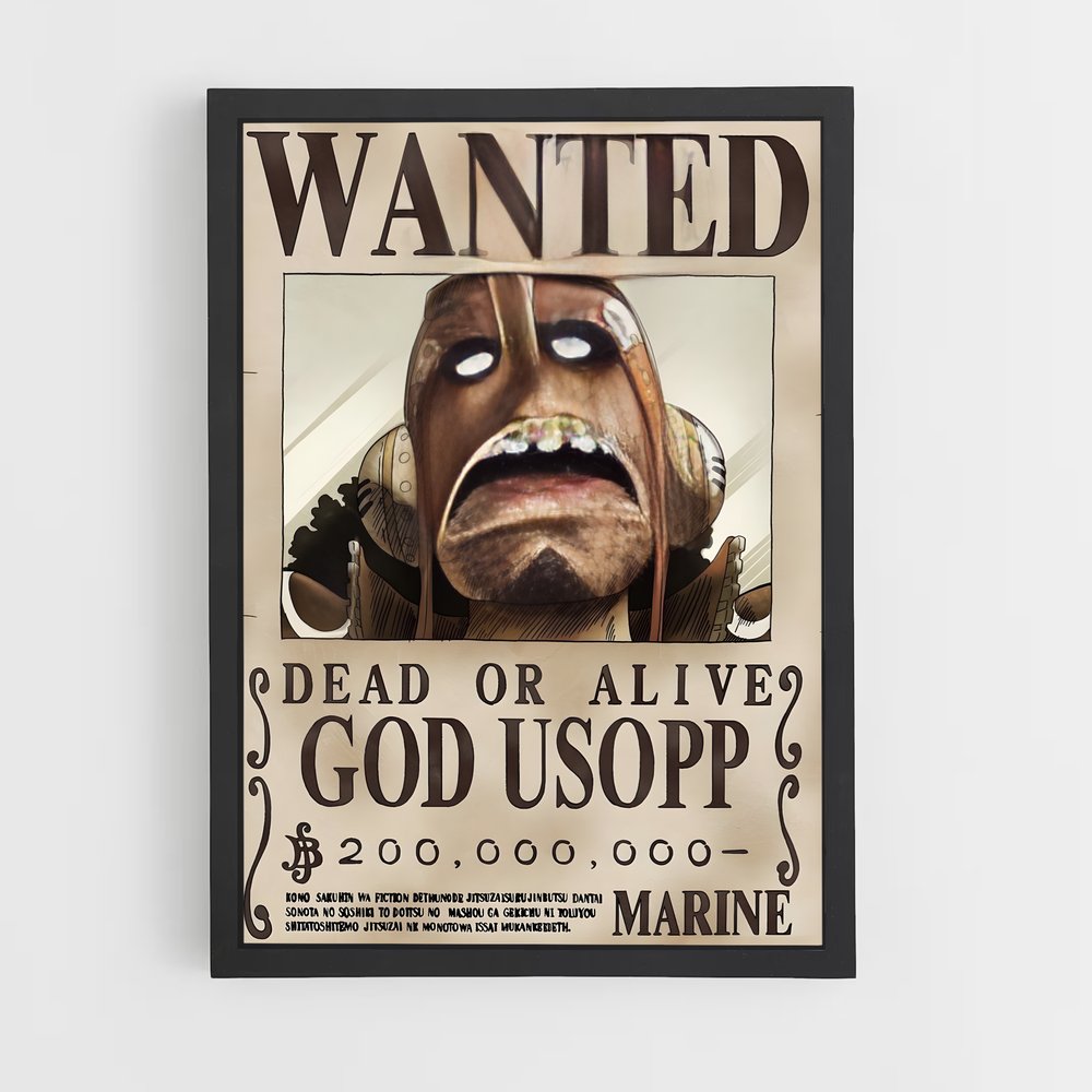 wanted-one-piece-8 cadre Noir