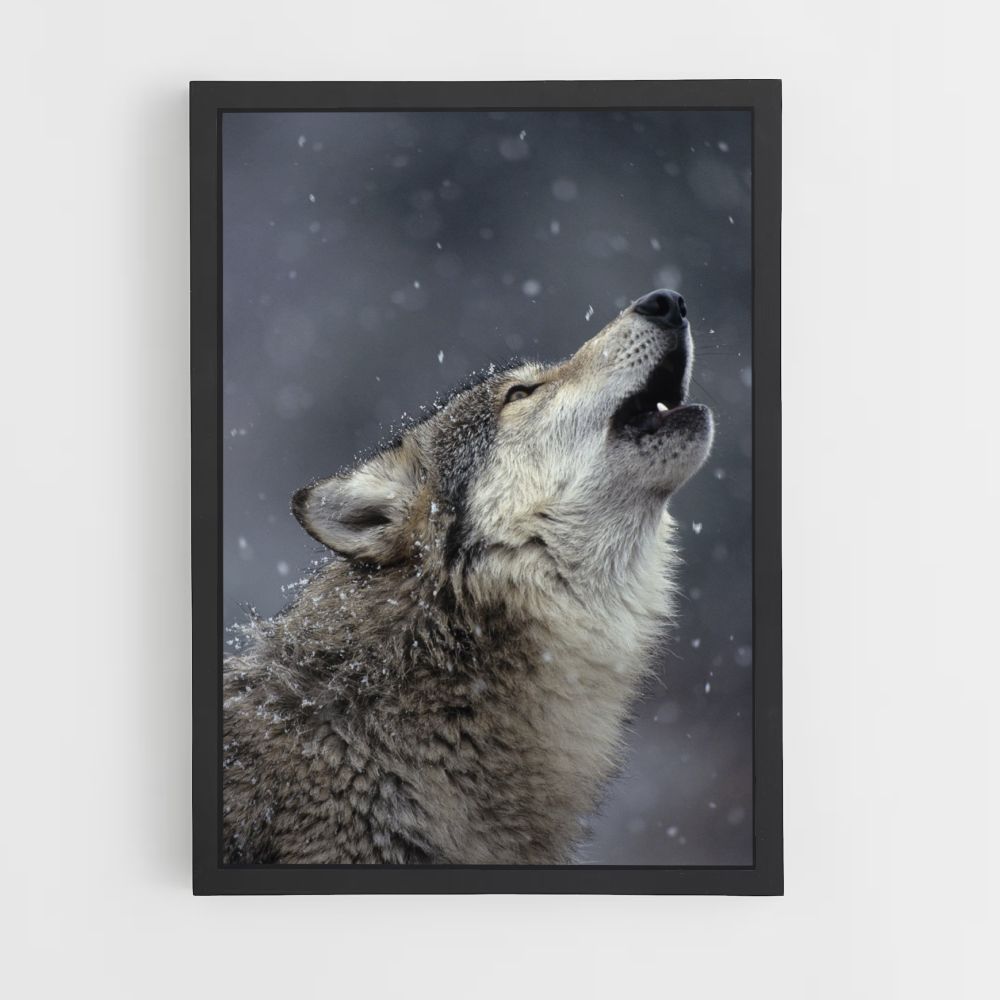 Singing Wolf Poster