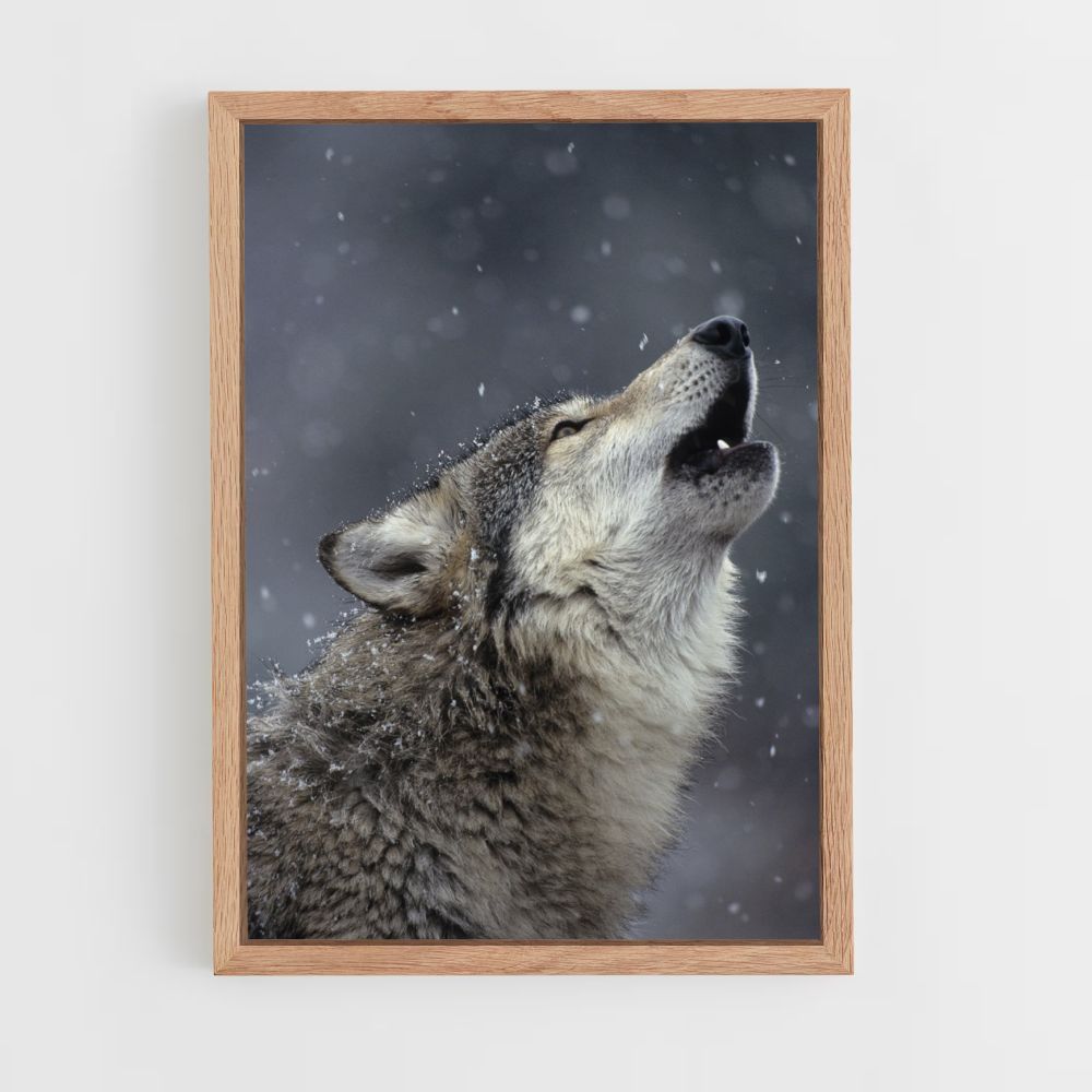 Singing Wolf Poster