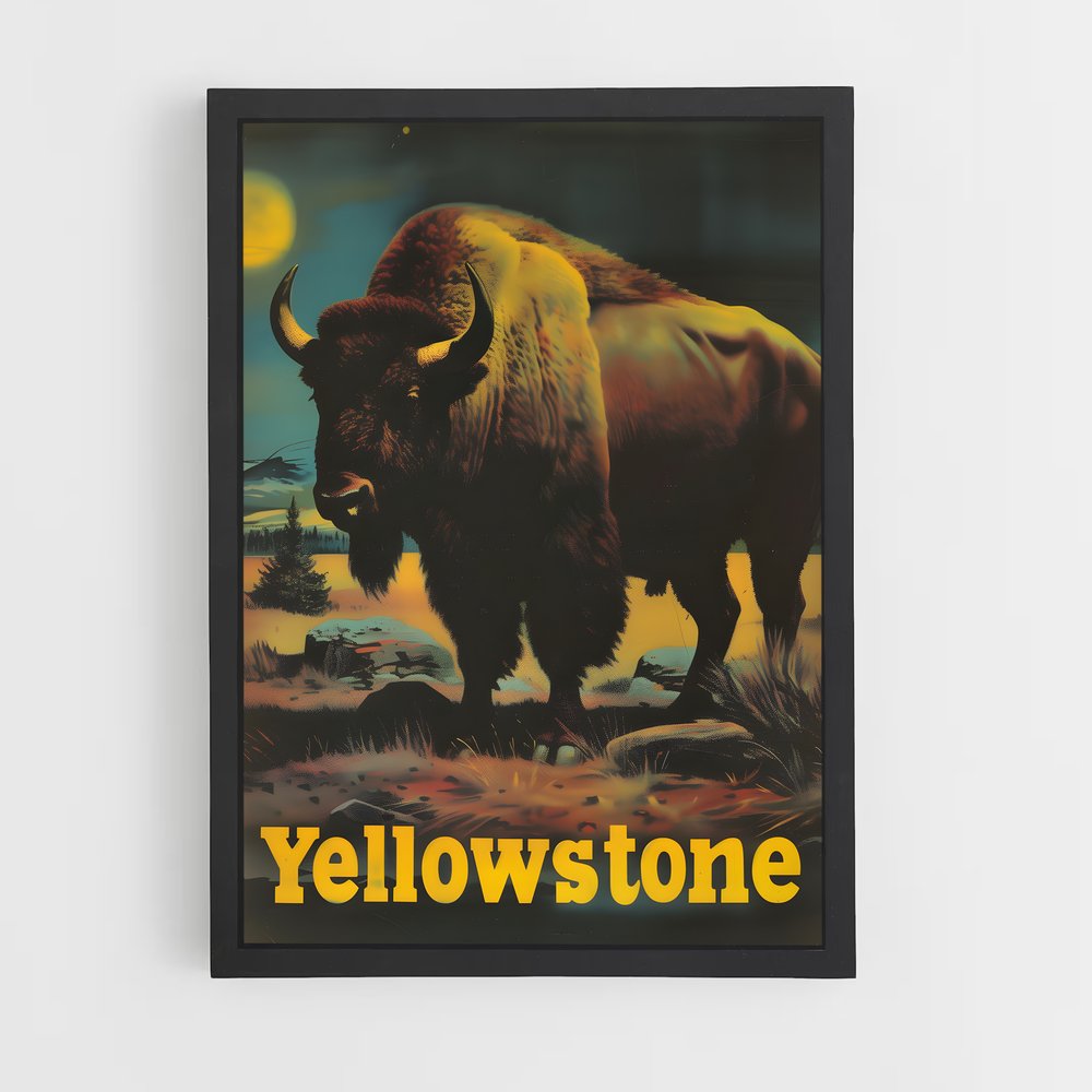 yellowstone-17 cadre Noir