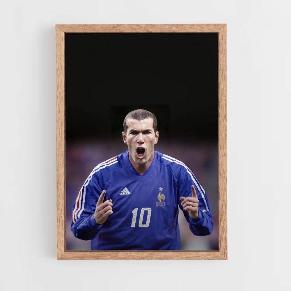 Poster Zidane Goal