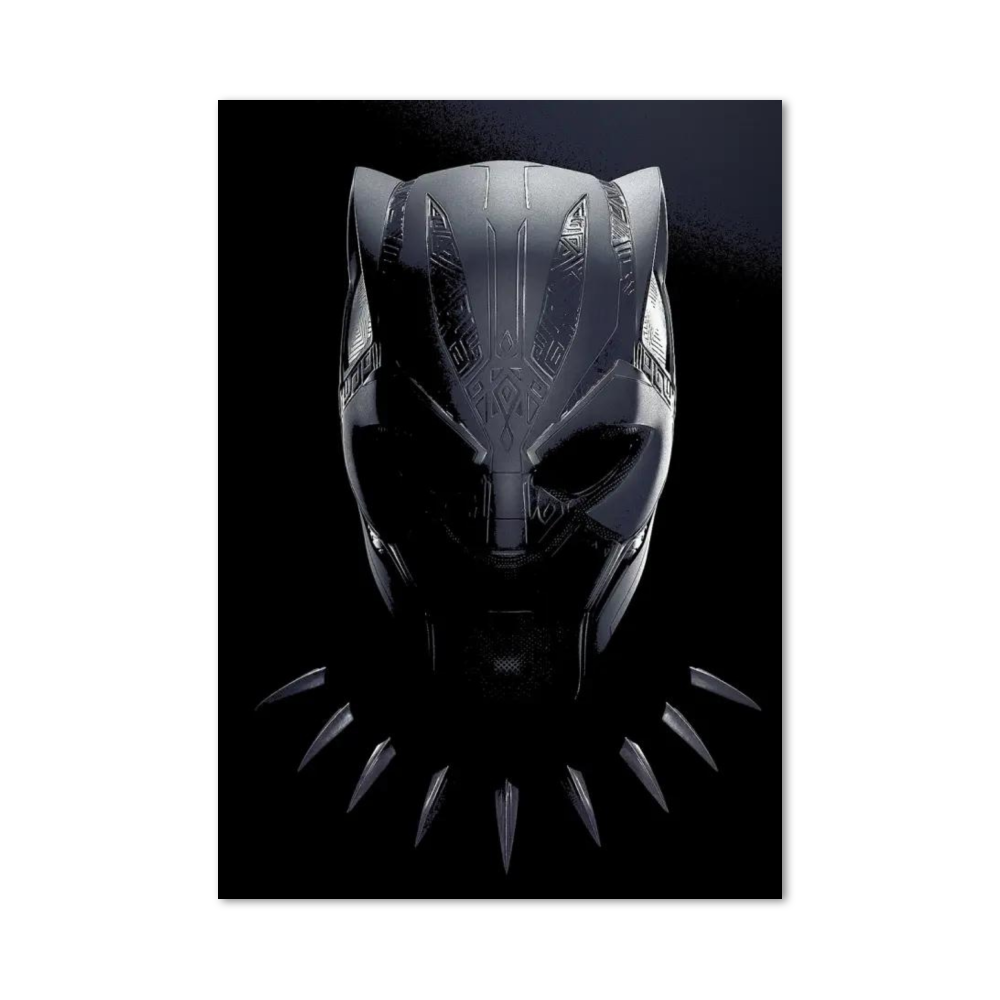 Poster Black Panther Costume