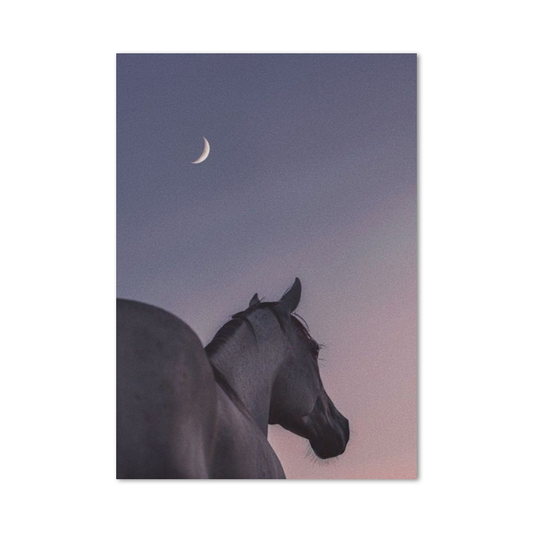 Poster Cheval Lune