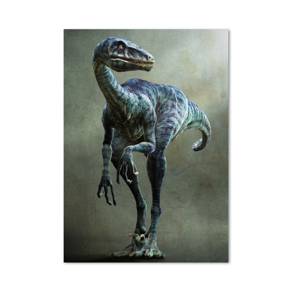 Poster Vélociraptor
