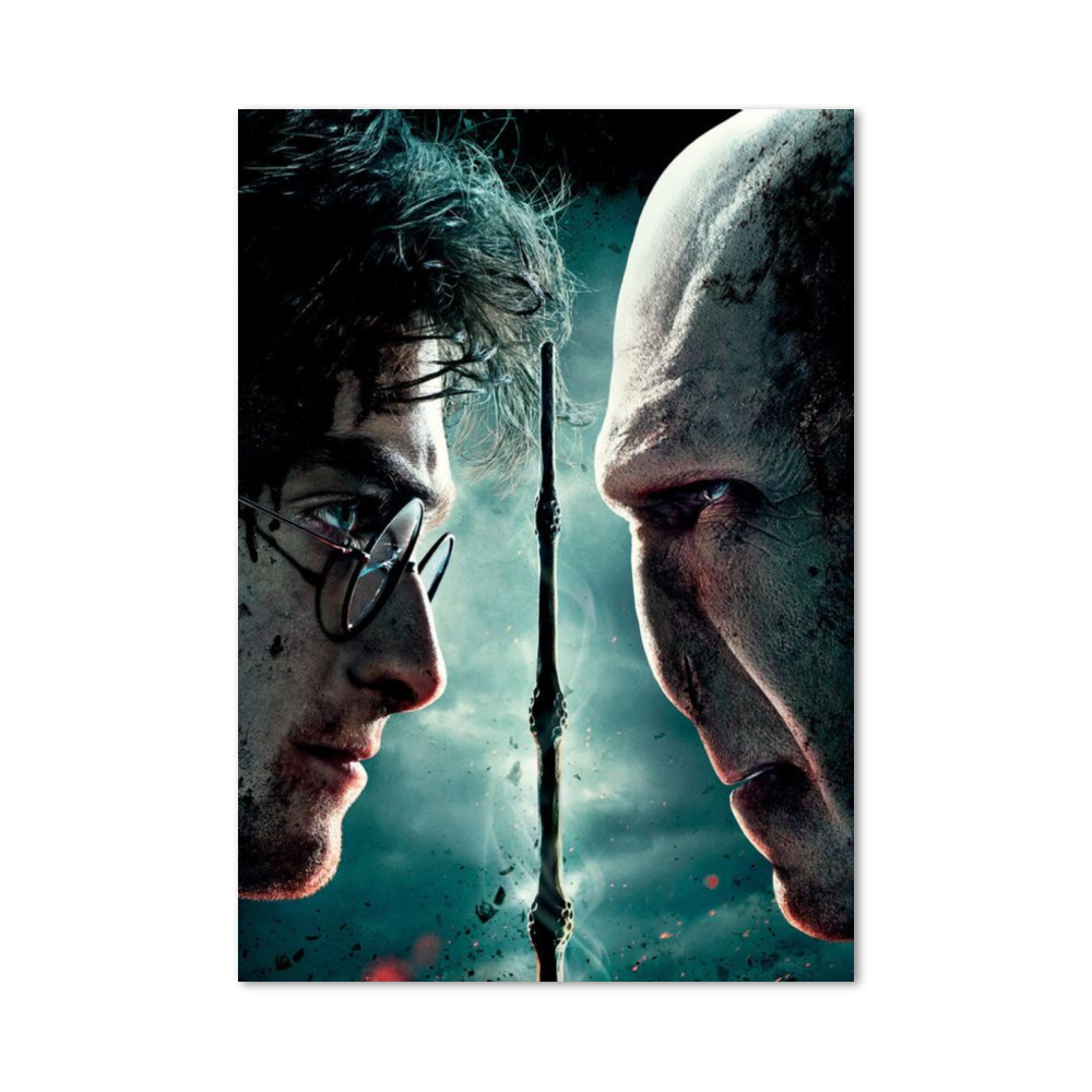 Poster Harry vs Vol de Mort