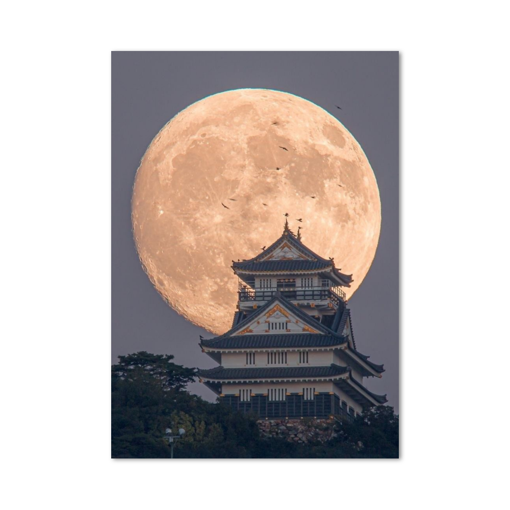 Poster Japon Temple Lune