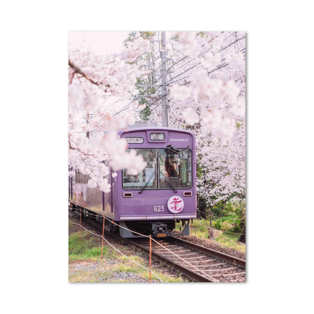 Poster Train Sakura