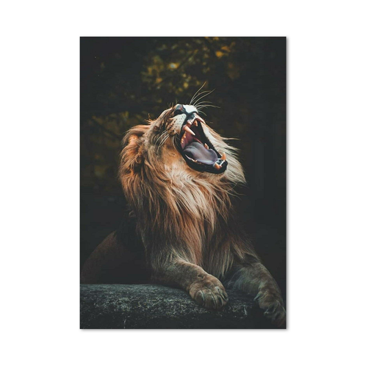 Poster Lion Baille