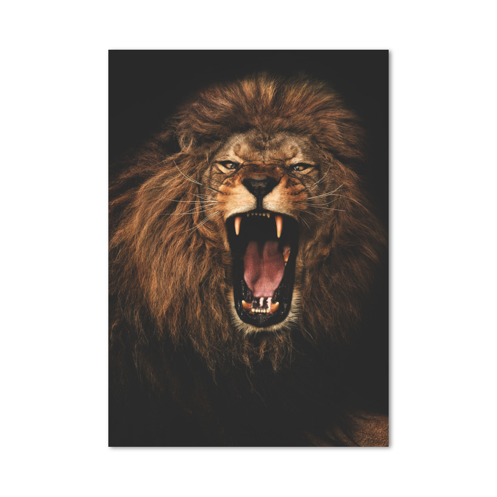 Poster Lion Rage