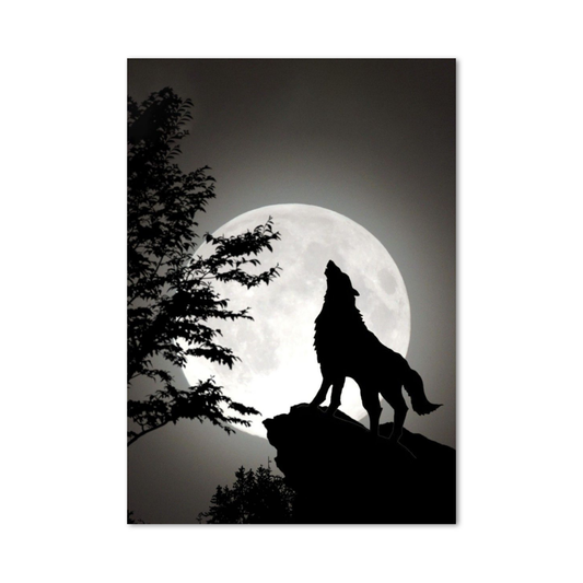 Poster Loup Lune